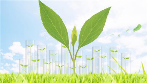 興避險(xiǎn)·守中性：興業(yè)銀行呼和浩特分行助力涉外企業(yè)穩(wěn)馭風(fēng)浪